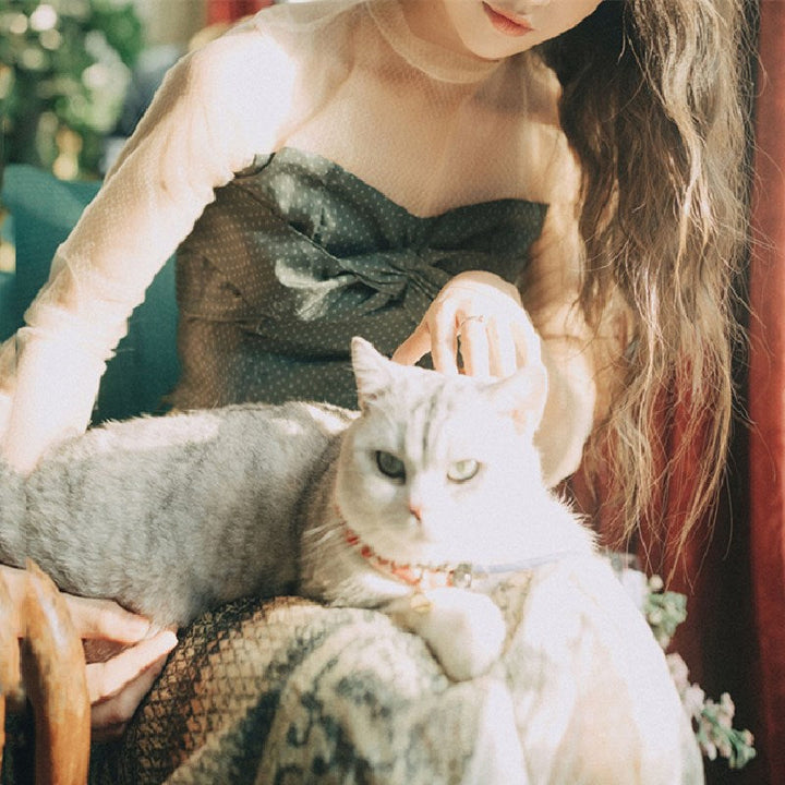 セットアップ — Reina Tokyo